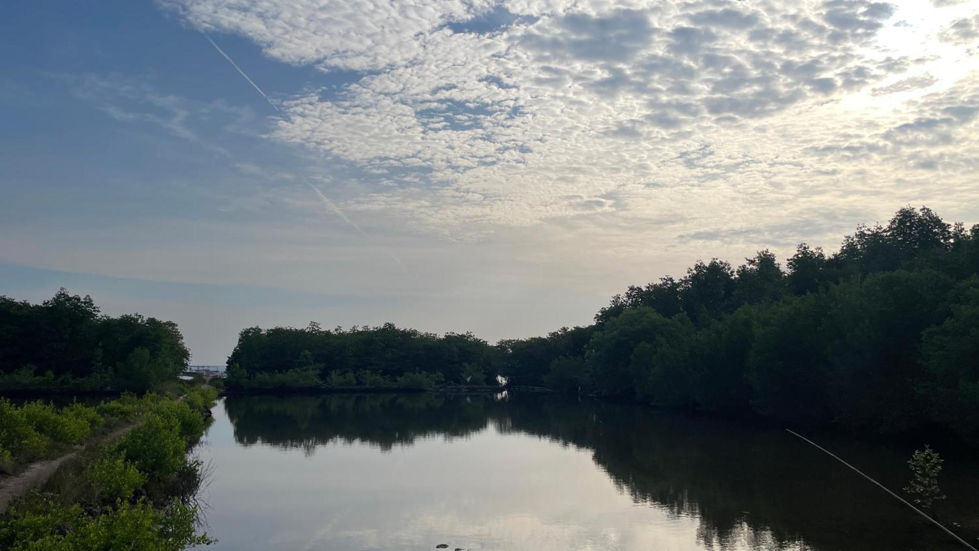 Mangrove Inn Каримунджава Экстерьер фото