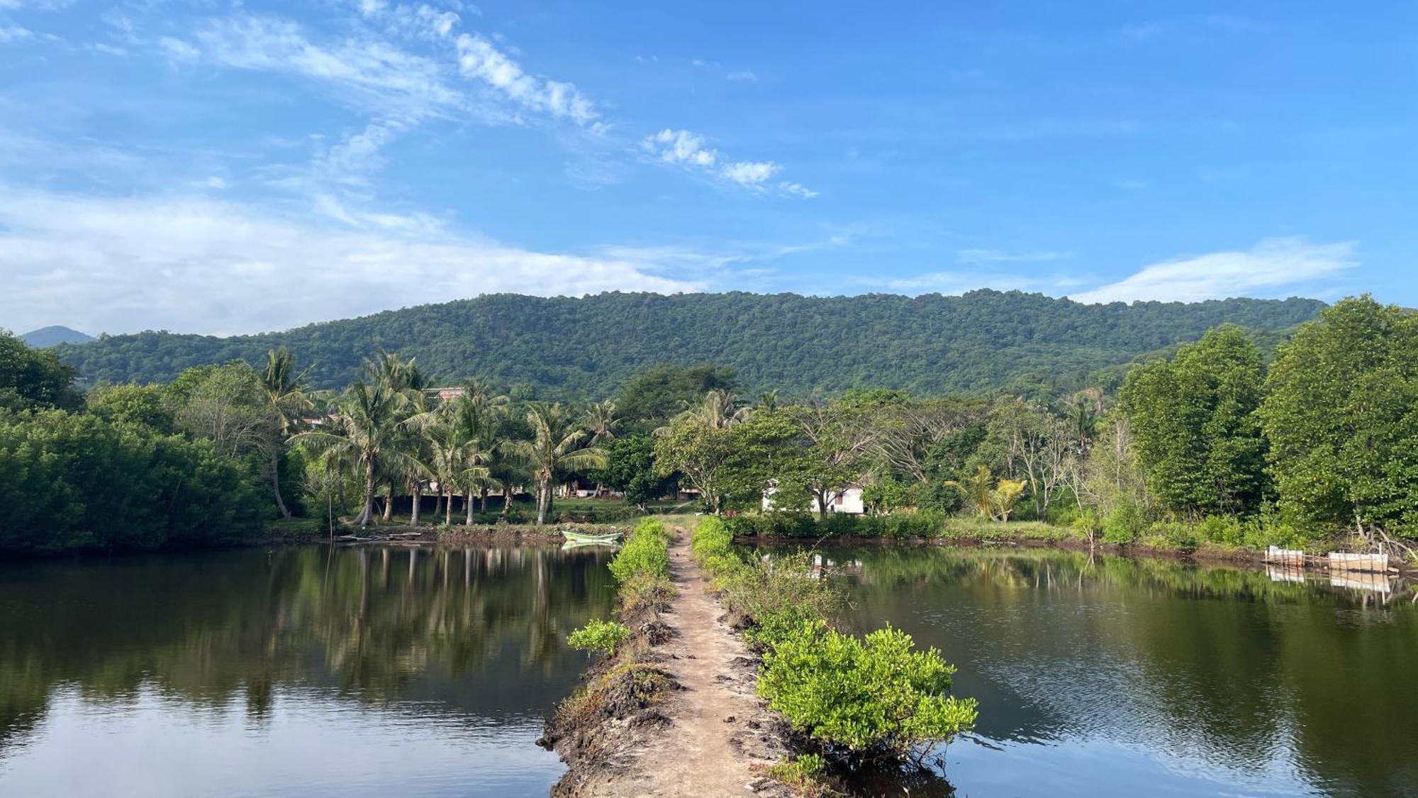 Mangrove Inn Каримунджава Экстерьер фото