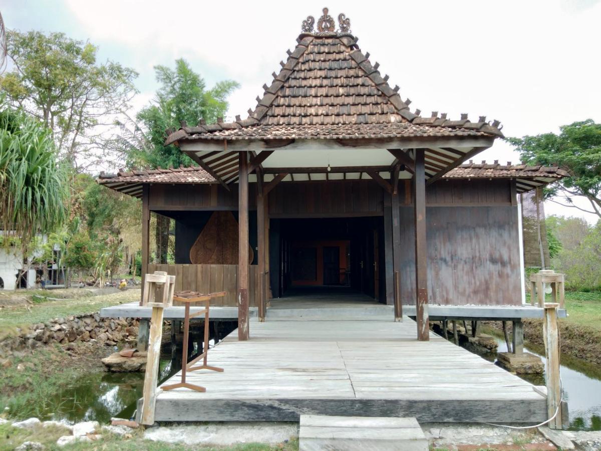 Mangrove Inn Каримунджава Экстерьер фото
