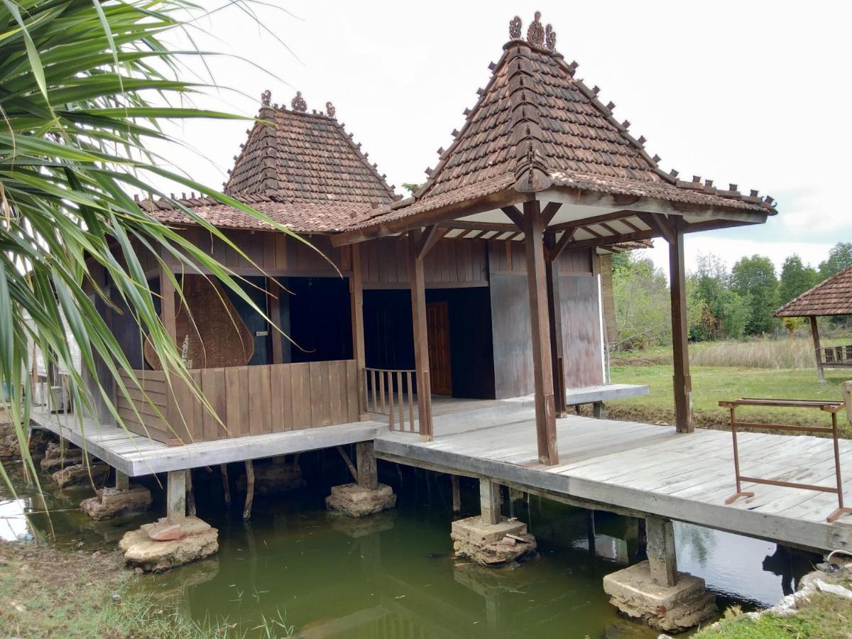 Mangrove Inn Каримунджава Экстерьер фото